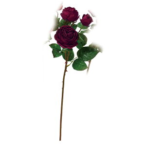 [YX3 C a-33928-015a yascaAXJz