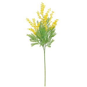 ~U CG| a-34106-010 yascaAXJz