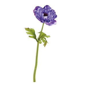 y A[eBtBVt[zAll oCIbg a-34352-035 yascaAXJz