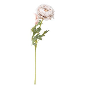 y A[eBtBVt[ziLX CgOC a-34397-063l yascaAXJz