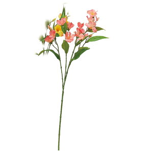 y A[eBtBVt[zAXgA×11@ڂ×8 R| a-34481-013a yascaAXJz