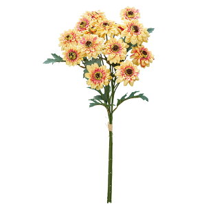 y A[eBtBVt[zf[W[o`i13{j S|hCG| a-34555-040y yascaAXJz