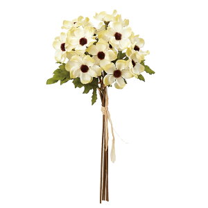 y A[eBtBVt[zAllo`i15{j _XeBCG[ a-34730-010k yascaAXJz