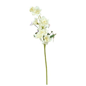 y A[eBtBVt[zftBjE N|zCg a-34803-011 yascaAXJz