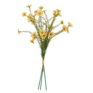 y A[eBtBVt[zf[W[o`i13{j AeB[NCG| a-34905-010a yascaAXJz