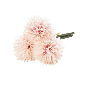 y A[eBtBVt[z||}o`i13{j zCgsN a-34942-001p yascaAXJz