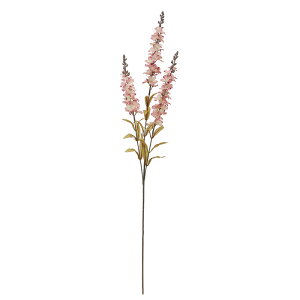 y A[eBtBVt[zftBjE×3 N||u a-34964-055c yascaAXJz