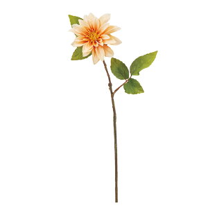 y A[eBtBVt[z_A s|` a-34988-004 yascaAXJz