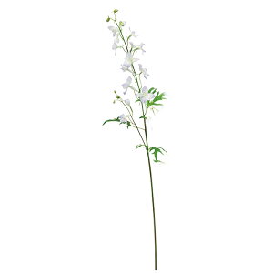 y A[eBtBVt[zftBjE zCgCbN a-35043-017w yascaAXJz