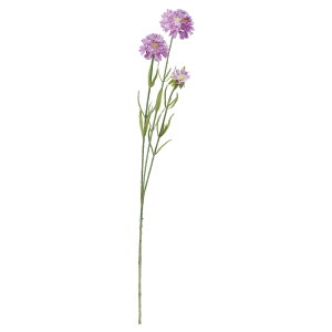 ���� �A�[�e�B�t�B�V�����t�����[�@�X�J�r�I�TX3 ���C���b�N a-33908-017 �yasca�A�X�J�z