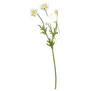 ���� �A�[�e�B�t�B�V�����t�����[�@�X�J�r�I�T×3 �z���C�g a-34492-001 �yasca�A�X�J�z