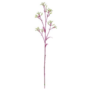 ���� �A�[�e�B�t�B�V�����t�����[�@�J���K���[�|�[ �p�|�v���O���|�� a-34826-007g �yasca�A�X�J�z