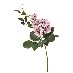 �y���ԁ@�A�[�e�B�t�B�V�����t�����[�z���[�Y×5�@�ڂ�×2 �_�X�e�C���x���_�| a-39578-006a �yasca�A�X�J�z