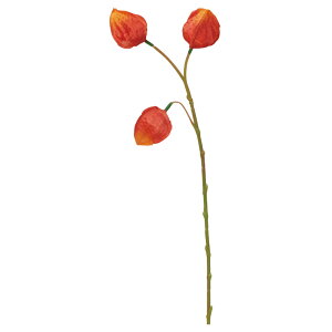 ���� �A�[�e�B�t�B�V�����t�����[�@�z�I�Y�L �I�����W a-47947-030 �yasca�A�X�J�z