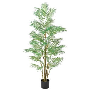 ���� �A�[�e�B�t�B�V�����t�����[�@�p�[���i�|�b�g�t�j �O���|�� a-50969-051a �yasca�A�X�J�z