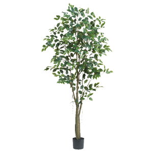 ���� �A�[�e�B�t�B�V�����t�����[�@�t�@�C�J�X�i�|�b�g�t�j �O���|�� a-51044-051a �yasca�A�X�J�z