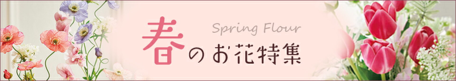 春のお花特集