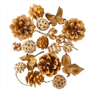 ý@J[z@؂̎A\[g@t`}X^[hS[h fd008057-221 0yz