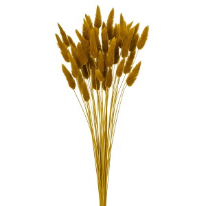 yt[ihCj@J[z@OX@t`}X^[h fd042050-221 0yz