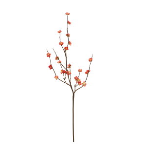 W~}@3@@RED fj001729-003 ~yz