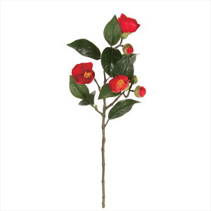 jց@28@@NEWRED fj002634-028 ցyz