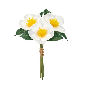 yt[iA[eBtBVjzփsbN@1@@WHITE fj003836-001 ցyz