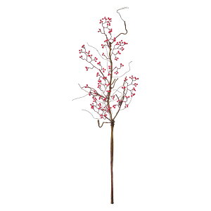 【実もの 果物 野菜 パン 実もの ベリー(小果実)】 レッドベリーブランチ RED fm002325-zzz 0【東京堂】