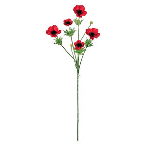 yt[iA[eBtBVj@Allz@u[YAllXv[@3@@RED fm004186-003 0yz