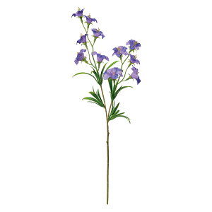 yt[iA[eBtBVj@ԁz@Jpk@17@PURPLE fm004579-017 0yz