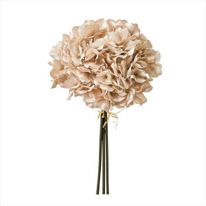 yt[iA[eBtBVjzVA[nChWAoh@6@@PEACH fx000320-006 @nChWAyz