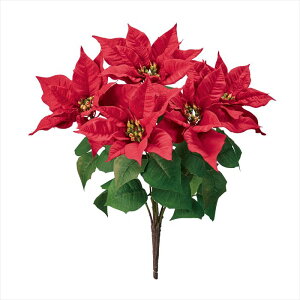 �G�N�X�e���A�|�C���Z�`�A�u�b�V��5�ց@��3�@�@RED fx008286-003 �|�C���Z�`�A�y�������z