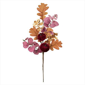 �y�}���́@���t���}���́z�@�o�[�K���p���v�L���X�v���[�@BUGANDY hw001874-zzz 0�y�������z