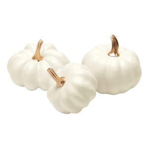 �p���v�L���A�\�[�g�@��1�@�@WHITE hw002600-001 �n���E�B���y�������z