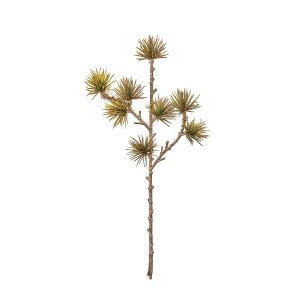 �V���C�j�[�����s�b�N�@GREEN�^GOLD jv001855-zzz ���@�p�C���y�������z