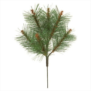 ��6�{�g�@GREEN jv004726-zzz ���@�p�C���y�������z