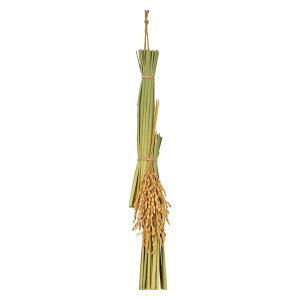 yi`fށ@ߓz@MB{XbO@ xj002219-zzz 0yz