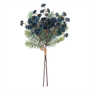 ý@ʕ@؁@p@́@x[iʎjz@mGx[oh@20@BLACK xv001123-020 0yz