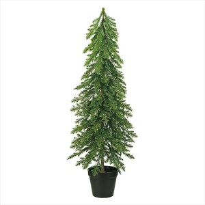 yCeAO[@ϗt؁@NX}Xc[z@lCeBuc[@GREEN xv001422-zzz 0yz