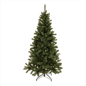 AXAgXc[@10F@GREEN xv003810-zzz NX}Xc[yz