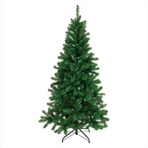 yCeAO[@ϗt؁@NX}Xc[z@RAgXc[12Fy2Rz@GREEN xv003812-zzz 0yz