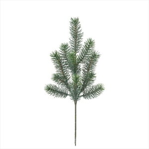 bVO[Xv[@GREEN xv006555-zzz @pCyz