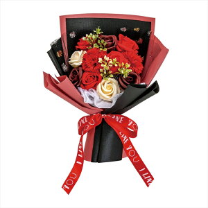 yAWgiLbgEZbg܂ށj@̑z@GmAu[P@bh dmfdc3en-0cr \[vt[yz