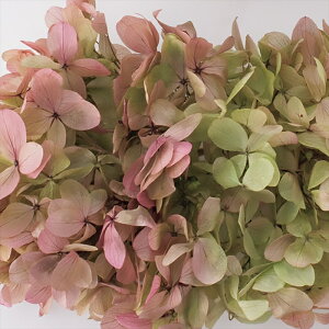 yvU[uht[@t[ivU[uhjz@s~bhAWTCEwbh@IKmsN do001515-171 AWTCyz