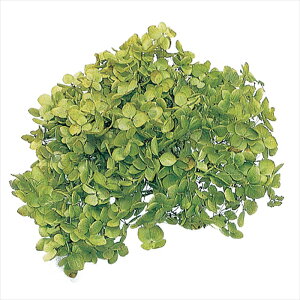 yvU[uht[@t[ivU[uhjz@AixEwbh@O[ do002160-701 AWTCyz