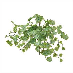 yA[eBtBVt[@ԁ@O[@[t@Az@~jO[vACr[oC@FRDGR fg000156-zzz ACr[yz