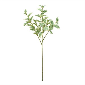 yA[eBtBVt[@ԁ@O[@[t@Az@Ch~g@22@CR^GR fg000520-022 n[uyz