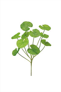 yA[eBtBVt[@ԁ@O[@[t@Az@XC[tubV@GREEN fg000773-zzz ̑yz