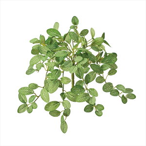 �y�A�[�e�B�t�B�V�����t�����[�@���ԁ@�O���[���@���[�t�@�����A���z�@���C���t�B�b�g�j�A�o�C���@LIGR fg001102-zzz �t�B�b�g�j�A�y�������z