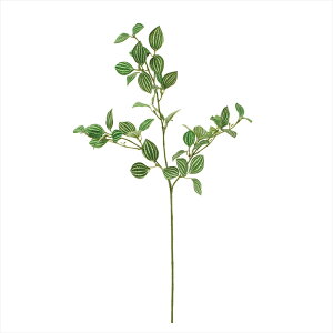 yA[eBtBVt[@ԁ@O[@[t@Az@yy~AXv[@GREEN fg001326-zzz ̑yz