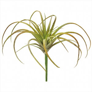 yA[eBtBVt[@ԁ@O[@[t@Az@GAvc@25@PK^GR fg001364-025 eBWAiGAvcjyz